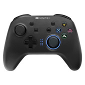 2.4G Wireless Controller with  built-in 600mah battery, 1M Type-C charging cable ,6 axis motion sens