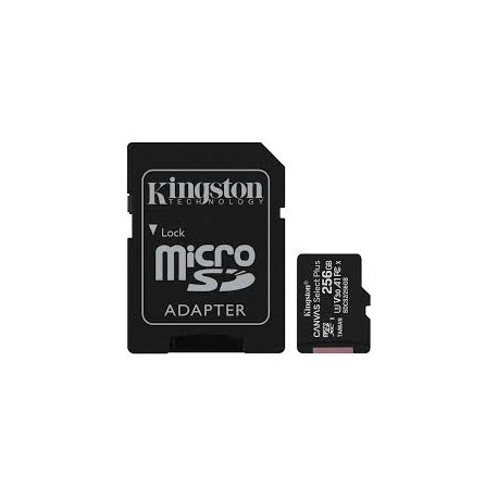 KINGSTON 256GB micSDXC Canvas Select Plus 100R A1
