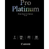 Canon Pro Platinum Pho PT101 - A3 - 20L