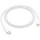 Apple USB-C to Lightning Kabel 1m