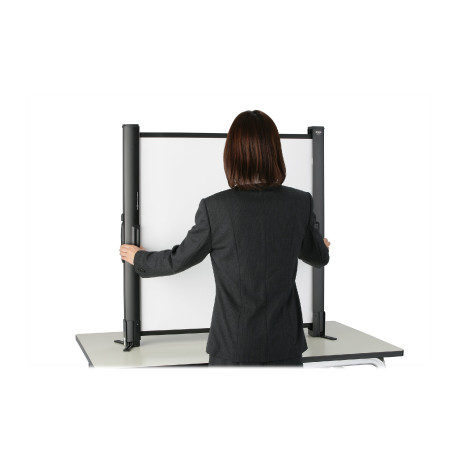 EPSON ELPSC32 50inch Screen