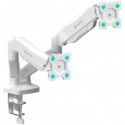 ONKRON Dual Monitor Desk Mount Stand for 13 to 32"