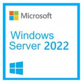 Windows Server CAL 2022 English 1pk DSP OEI 5 Clt Device CAL