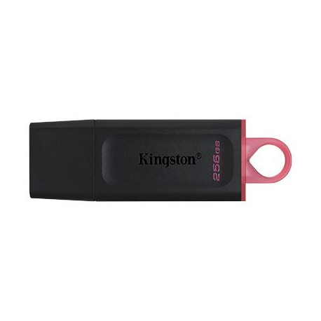 Kingston 256 GB 3.2 Gen 1 USB Flash Drive, DataTraveler Exodia