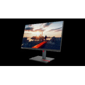 Lenovo ThinkVision P24h-30