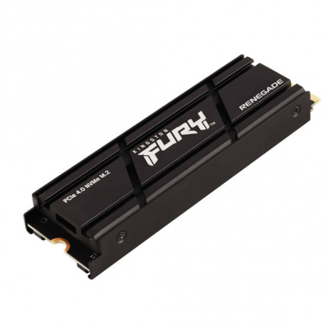 Kingston 1000G FURY RENEGADE M.2 2280 Heatsink