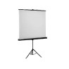 Projekcijsko platno E-View TS180/178×178cm, na stalku