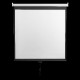 SBOX projektorsko platno PSM-118-2 213x213 cm