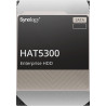 Synology HAT5300 12 TB