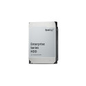 Synology Enterprise 20 TB 