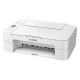 Multifunction printer CANON PIXMA TS3351 (white)