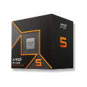 AMD Ryzen 5 9600