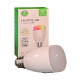 WOOX WiFi Smart LED RGB+CCT žarulja E27, 6W, 500lm, 2700K-6500K dimabilna, WooxHome app, glasovna kontrola - Alexa & Goo