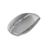 Cherry GENTIX BT optički miš, zaleđeno srebro