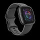 Watch Google Fitbit Sense 2 - Graphite