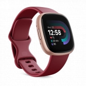 Watch Google Fitbit Versa 4 - Copper Rose