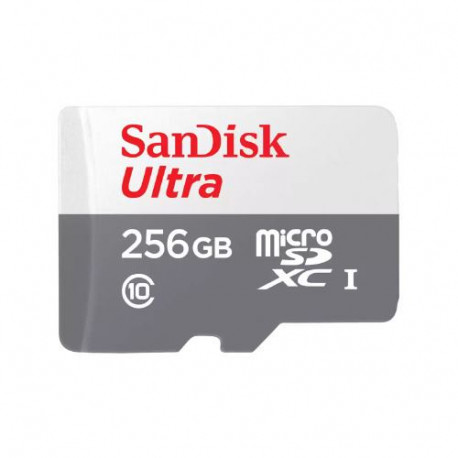 SanDisk Ultra microSD card without adapter - 256GB