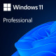 Microsoft Windows Professional 11 64-bit All Languages Online Product Key License 1 License Download