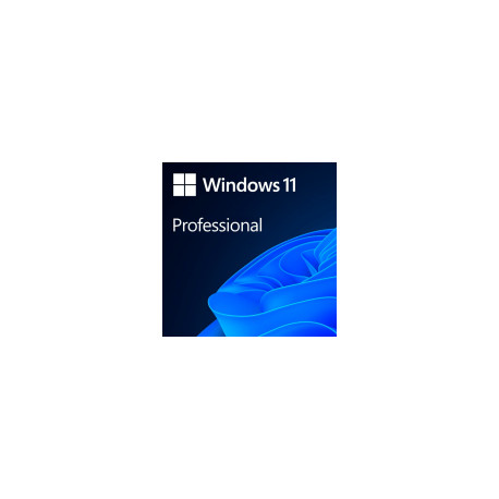 Microsoft Windows Professional 11 64-bit All Languages Online Product Key License 1 License Download