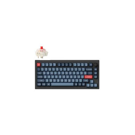Tipkovnica Keychron V1M-D1 Black RGB75% Layout/BT/2.4GHz/Wired/Red Switch