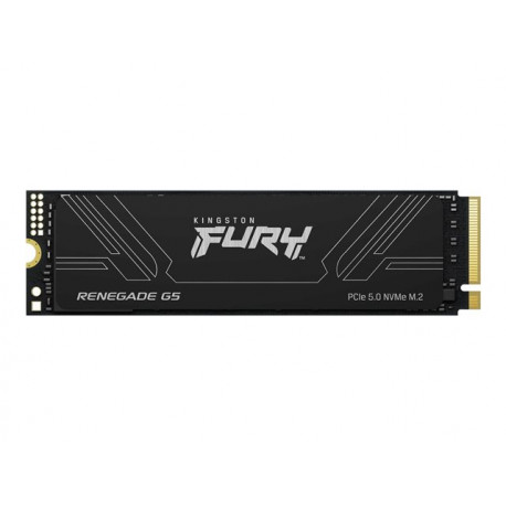 KINGSTON FURY Renegade G5 4096GB M.2