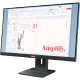 Monitor LENOVO ThinkVision E24-40 23,8" / WLED / IPS / 100Hz / 4ms / black - adjustable stand