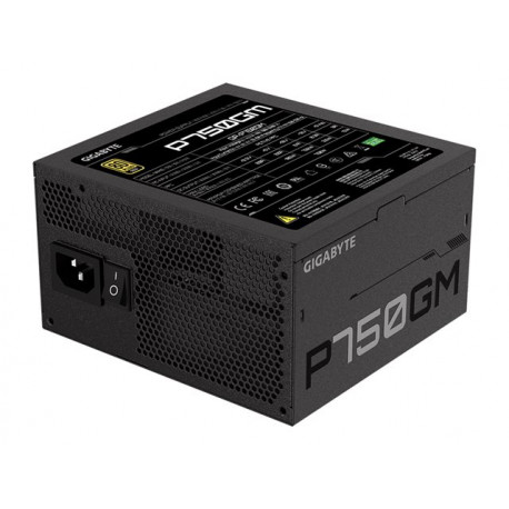 GIGABYTE GP-P750GM 750W ATX 12V v2.31