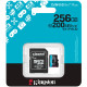 Kingston microSD, Canvas Go! Plus,R200/W160, 256GB