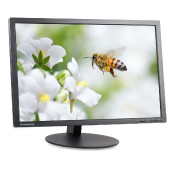 Monitor Lenovo ThinkVision T2454p