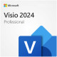 Visio Pro 2024 All Lng Retail Online ESD