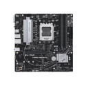 ASUS PRIME A620M-A-CSM MB