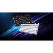 ASUS ROG FALCHION ACE 75HE