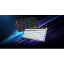ASUS ROG FALCHION ACE 75HE