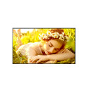 LG 65UL5Q -E, UHD Signage, 500nits, 3xHDMI, DP