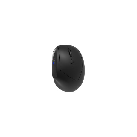 CANYON mouse MW-25 Ergonomic LED AA Dual mode Wireless Black