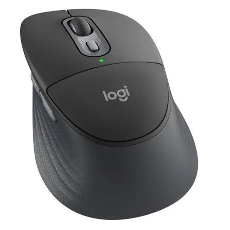 Logitech M850 L for Business, crna