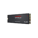 SANDISK Optimus 5100 NVMe SSD 500GB