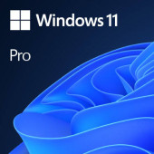 Microsoft Windows 11 Pro OEM ESD