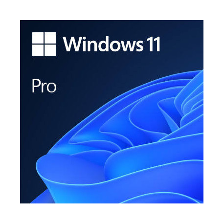 Microsoft Windows 11 Pro OEM ESD