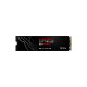 SANDISK Optimus GX PRO 850X NVMe SSD 2TB