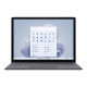 REF MS Srfc Lptp 5 13.5in i5/8/256 (P)