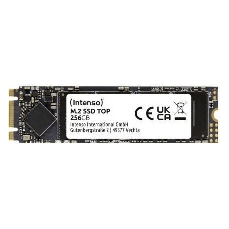 Intenso 256 GB M.2 2280 SSD, SATA III