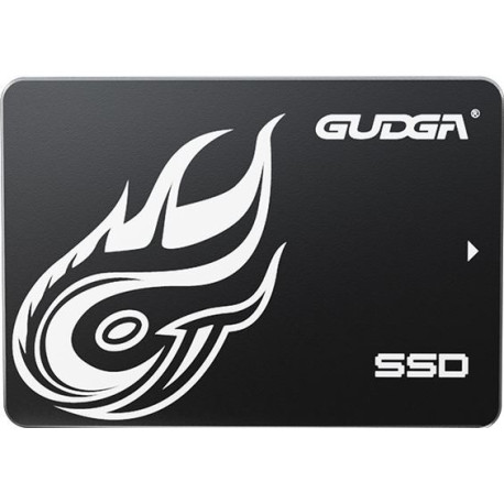 Gudga GS, 256 GB 2,5" SSD, SATA III | 3D NAND