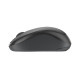 Logitech M240 Silent bežični optički miš, grafitni (910-007119)