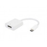 Adapter E-Green USB-C (M) - Display Port (F)