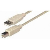 Transmedia USB 2.0 AB, Beige, 1,8m