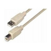Transmedia USB 2.0 AB, Beige, 5m